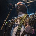 GutterPunk - Professional Concert Photography